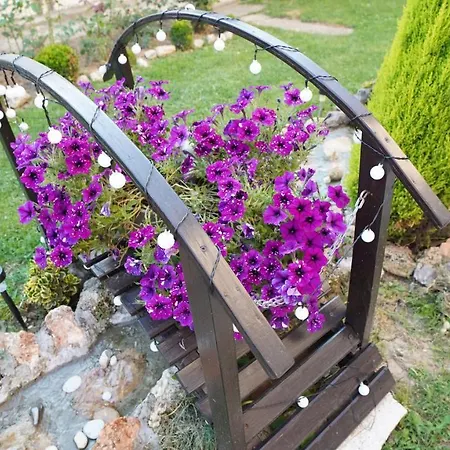 Apartman President 034 Royal